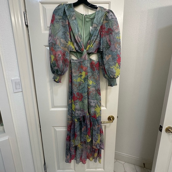 Alice + Olivia x Lola Schnable Katia Midi Dress - Picture 5 of 5